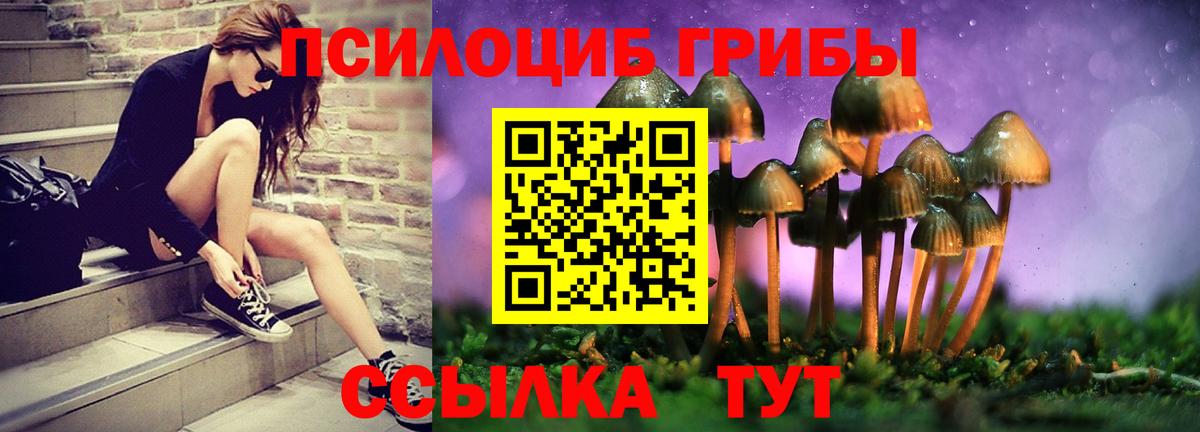 Псилоцибиновые грибы Cubensis  Вход с VPN  Галлюциногенные грибы Psilocybe  Нововоронеж 