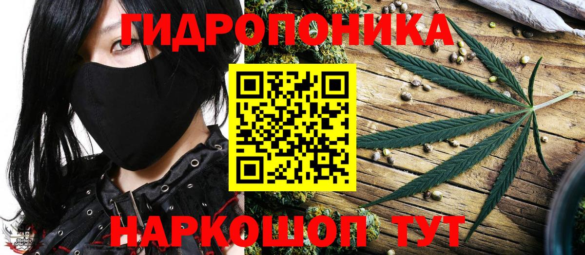 Бошки марихуана тримм  Конопля план  Вход с VPN  Марихуана сатива  Нововоронеж 